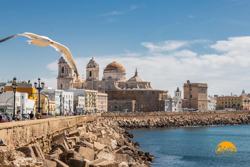 Estrella Del Mar- Free Parking By Livework Appartement Cadix